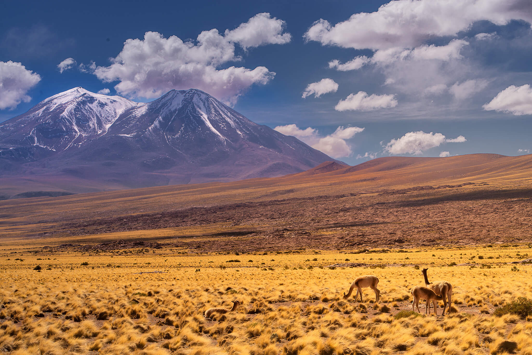 Fotografía nocturna artística